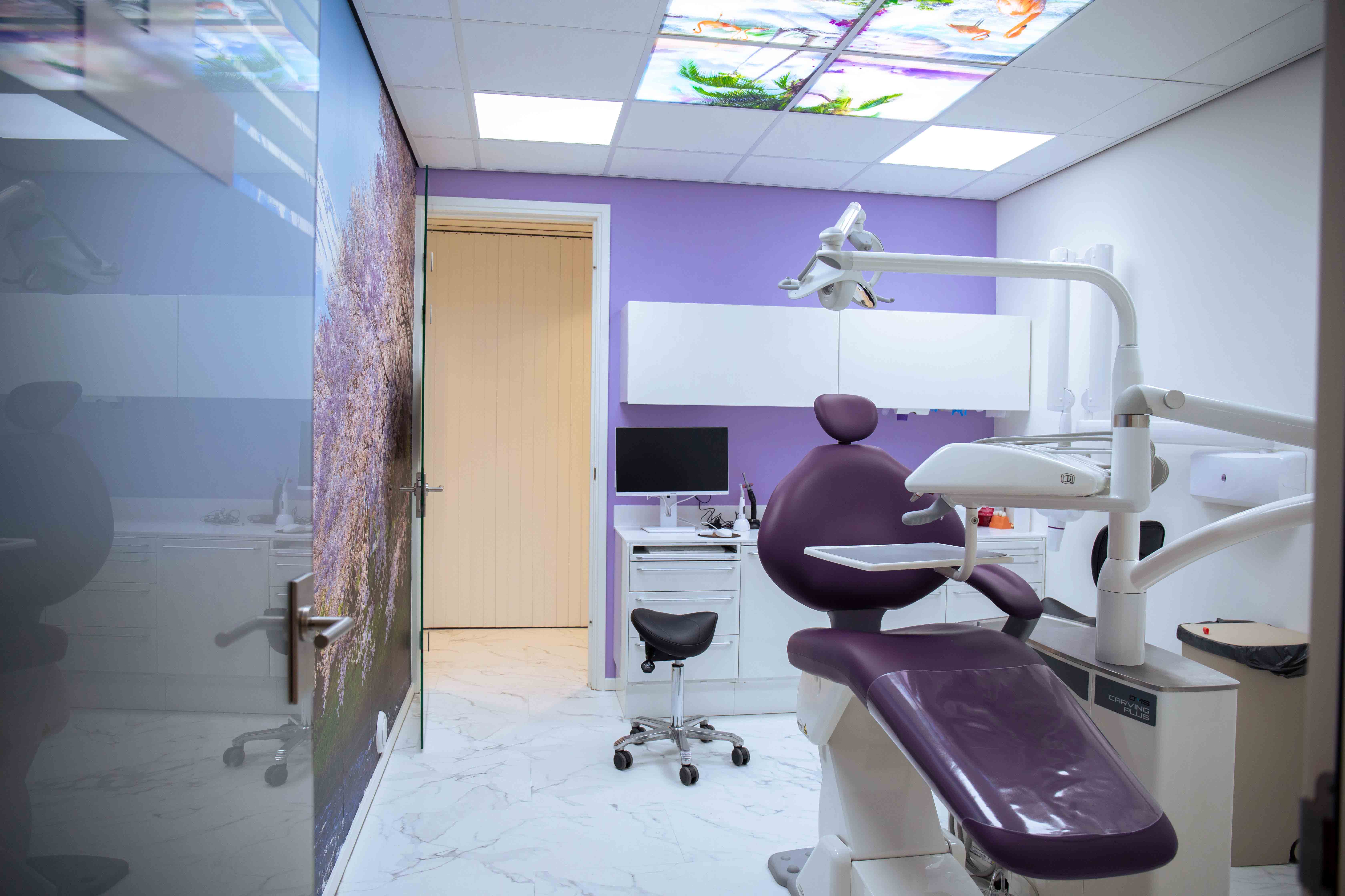 portfolio/aa4a7040_copy_7499